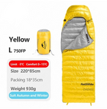 Sleeping Bag