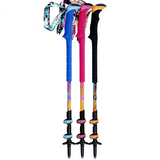 Trekking Poles