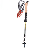 Trekking Poles