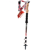 Trekking Poles