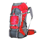 Camping Backpack